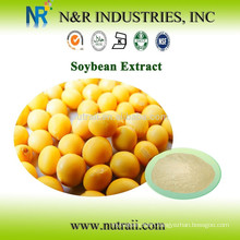 Natural 40% Isoflavones supplier/Soy Isoflavones/Soya Isoflavones